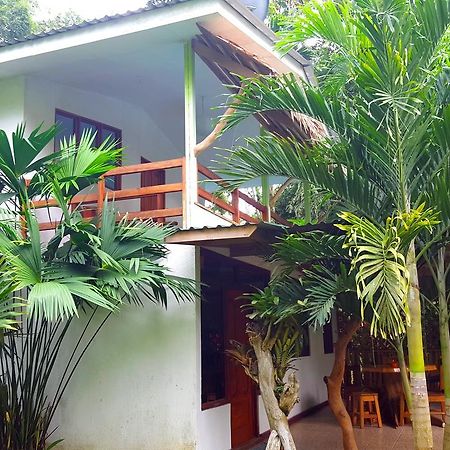 3 Bamboo Eco Lodge Cahuita Zewnętrze zdjęcie
