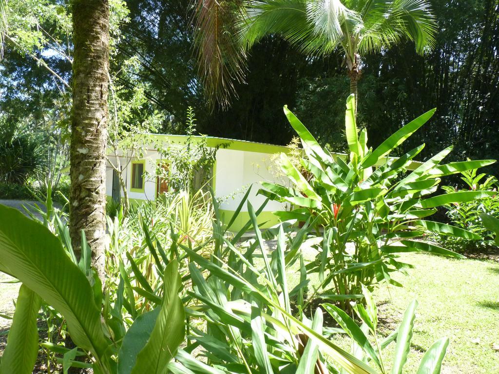 3 Bamboo Eco Lodge Cahuita Zewnętrze zdjęcie