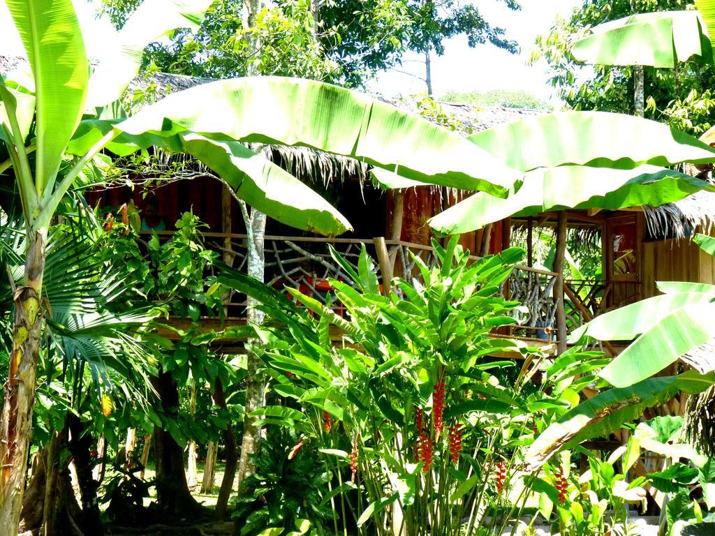 3 Bamboo Eco Lodge Cahuita Zewnętrze zdjęcie