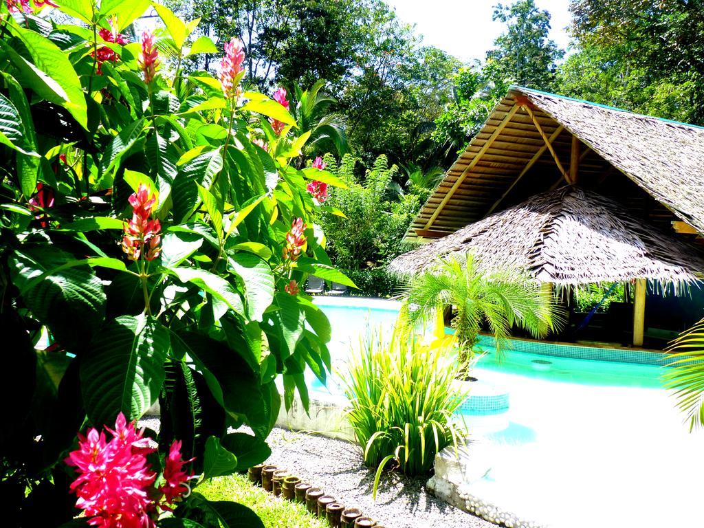 3 Bamboo Eco Lodge Cahuita Zewnętrze zdjęcie