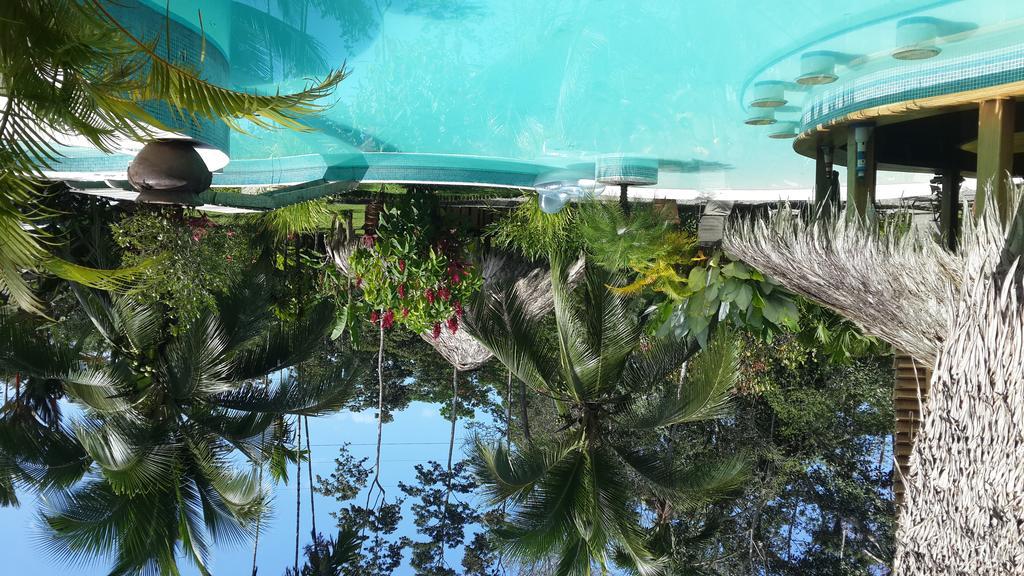 3 Bamboo Eco Lodge Cahuita Zewnętrze zdjęcie