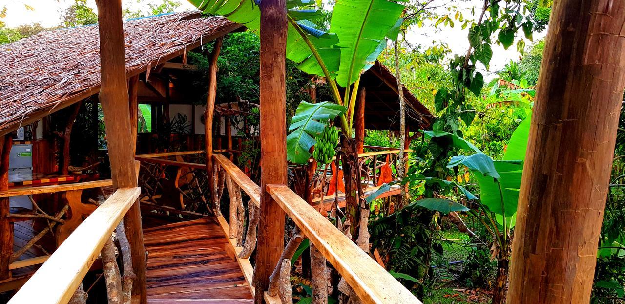 3 Bamboo Eco Lodge Cahuita Zewnętrze zdjęcie