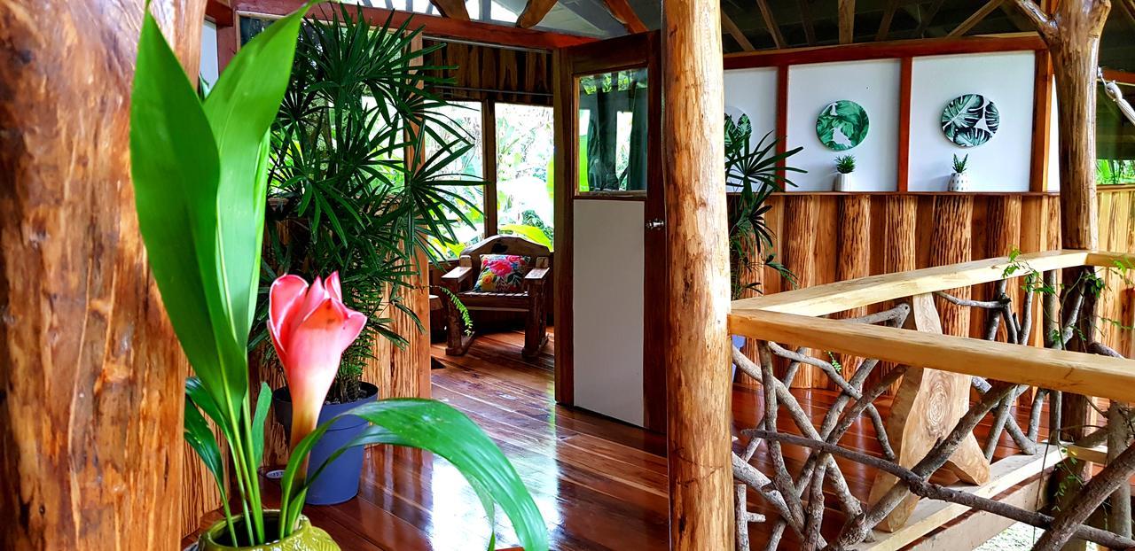 3 Bamboo Eco Lodge Cahuita Zewnętrze zdjęcie