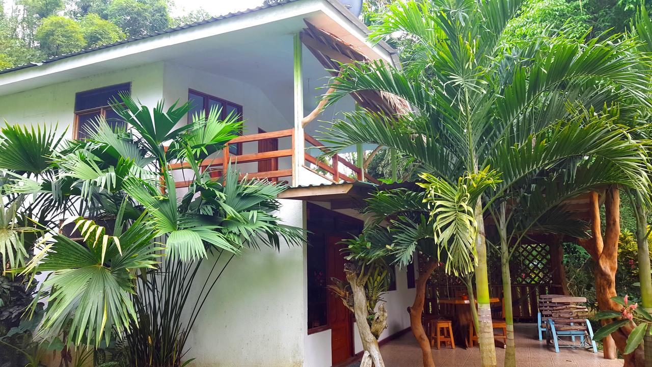 3 Bamboo Eco Lodge Cahuita Zewnętrze zdjęcie