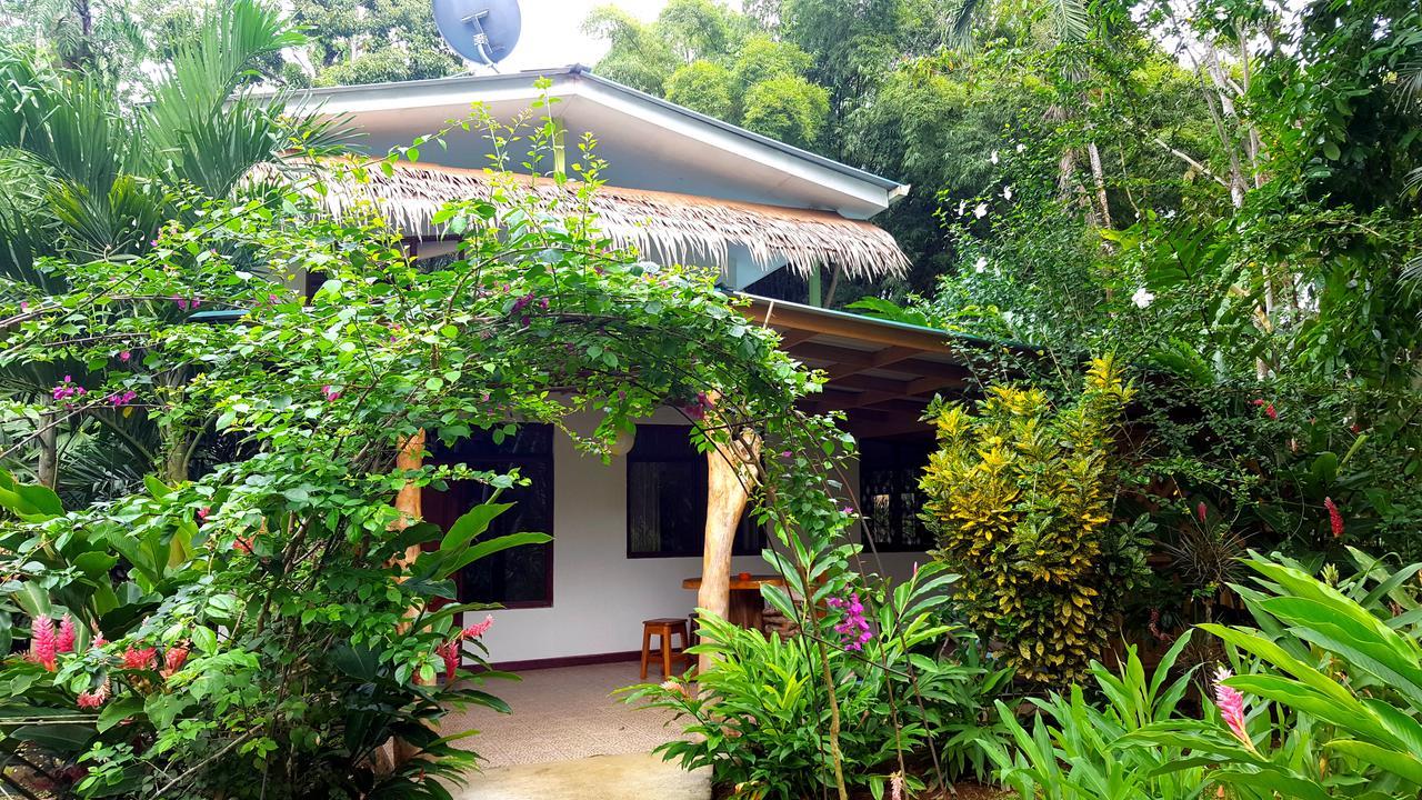 3 Bamboo Eco Lodge Cahuita Zewnętrze zdjęcie