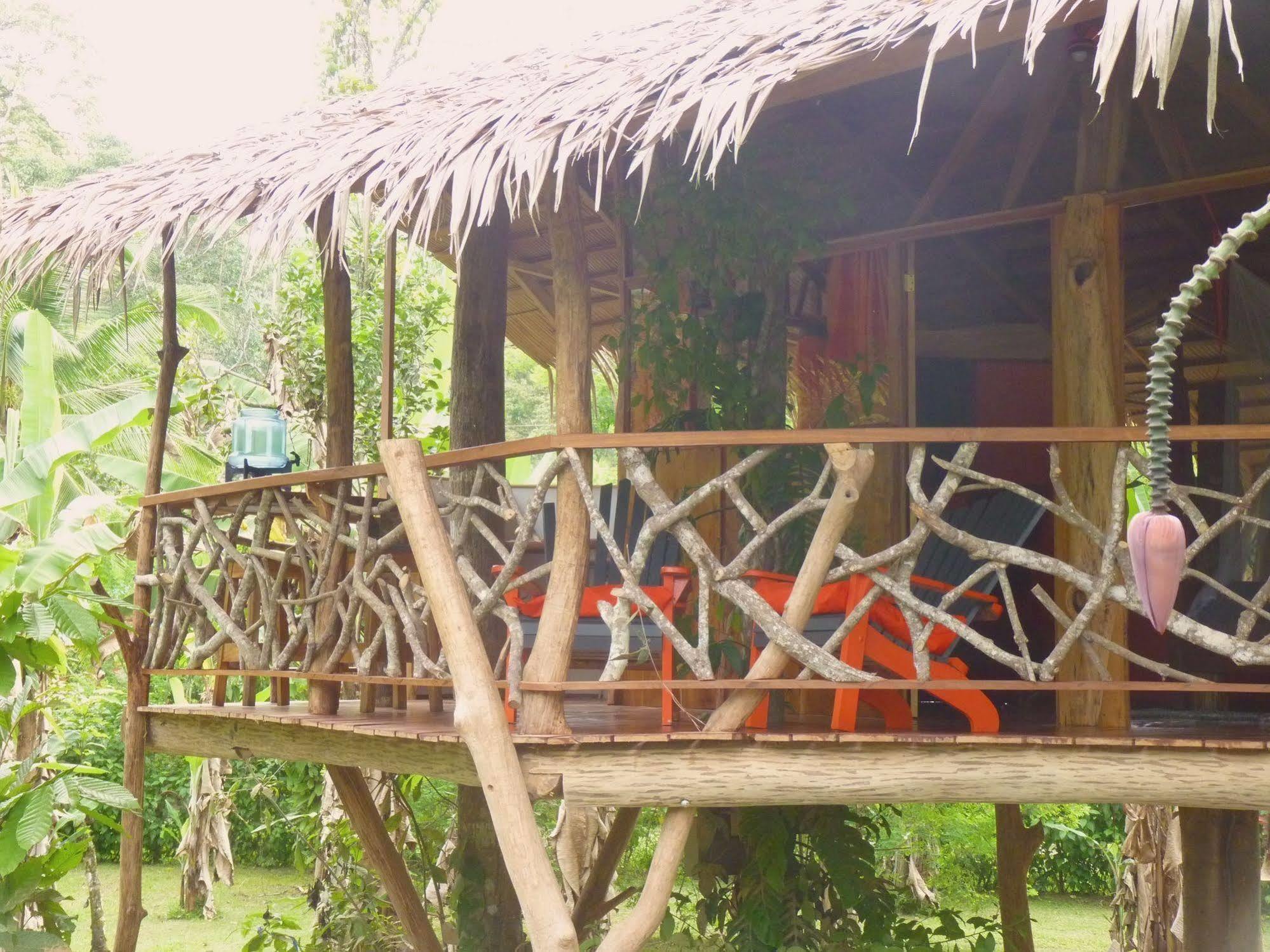 3 Bamboo Eco Lodge Cahuita Zewnętrze zdjęcie