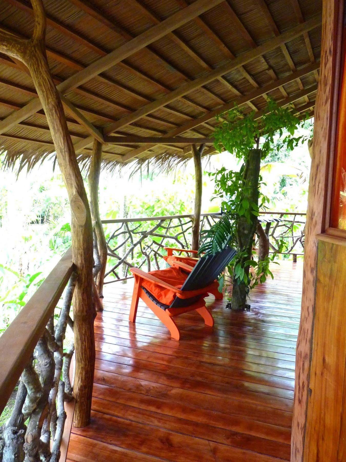 3 Bamboo Eco Lodge Cahuita Zewnętrze zdjęcie
