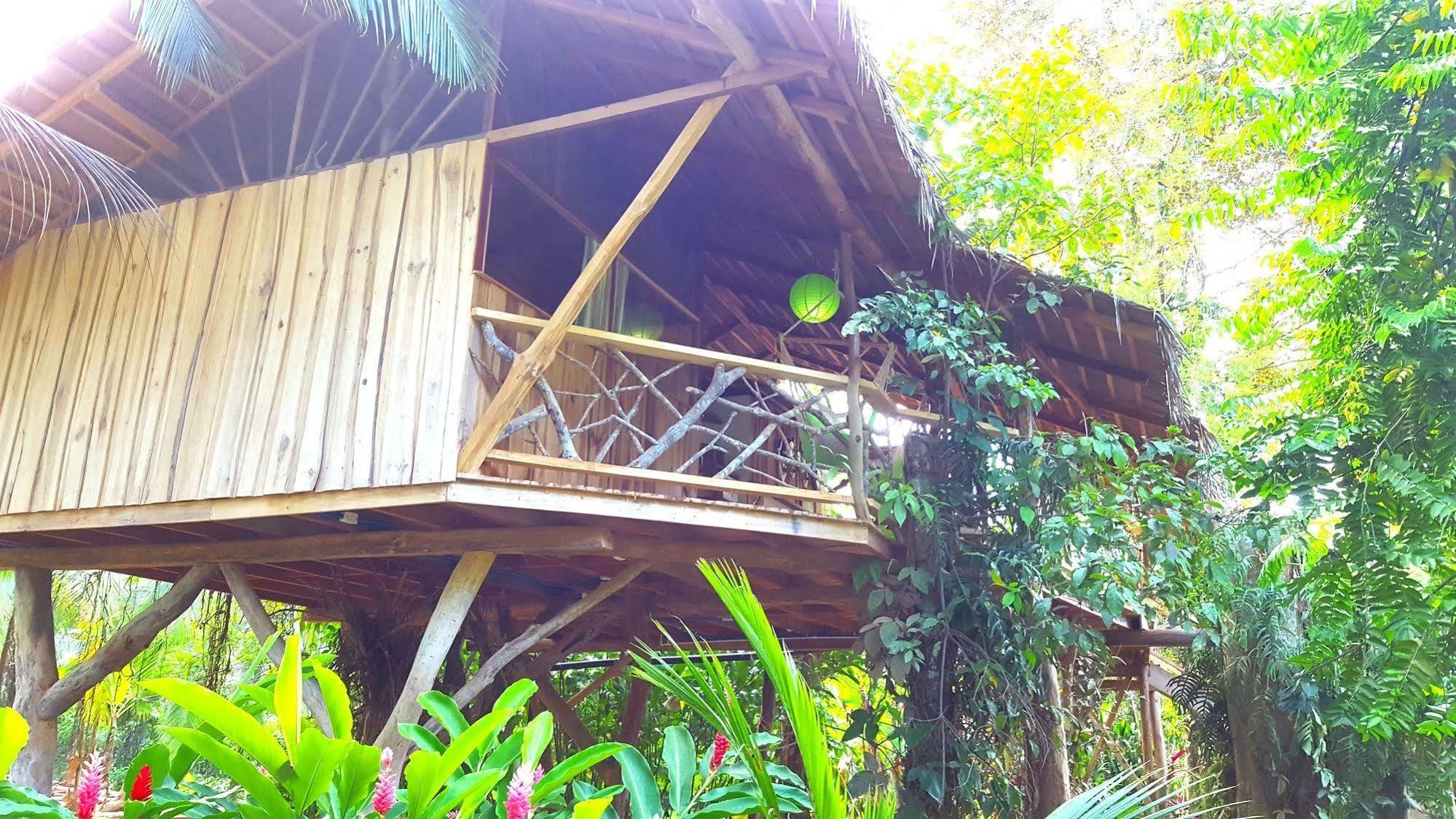 3 Bamboo Eco Lodge Cahuita Zewnętrze zdjęcie