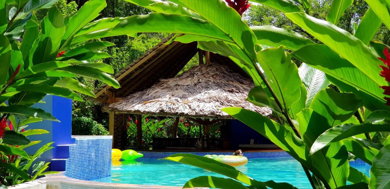 3 Bamboo Eco Lodge Cahuita Zewnętrze zdjęcie